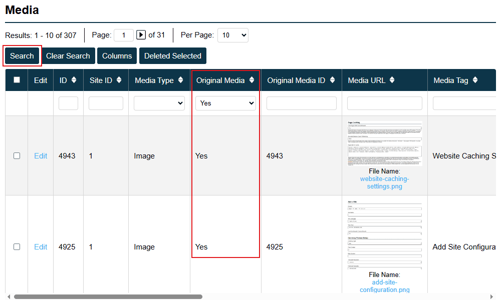 Media Library Filter And Search Controls