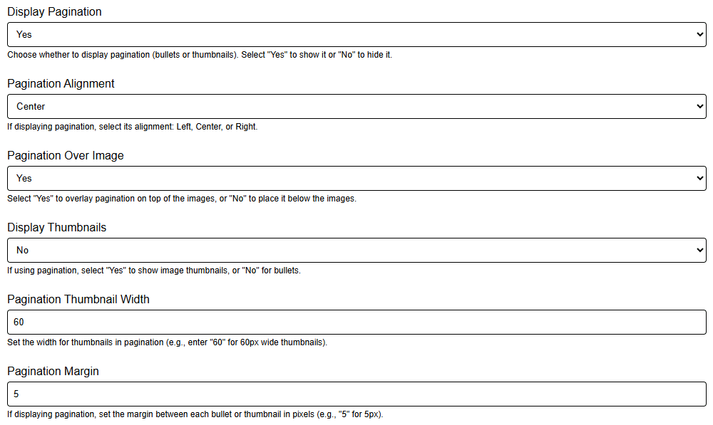 Media Slider Pagination Thumbnail Settings