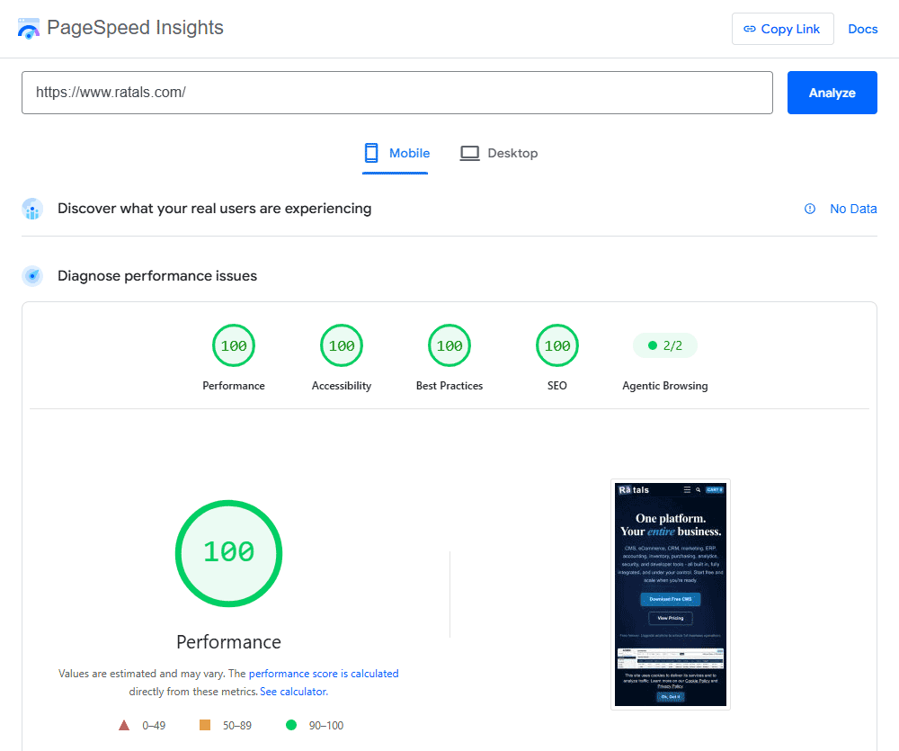 Pagespeed Insights Mobile Perfect Score